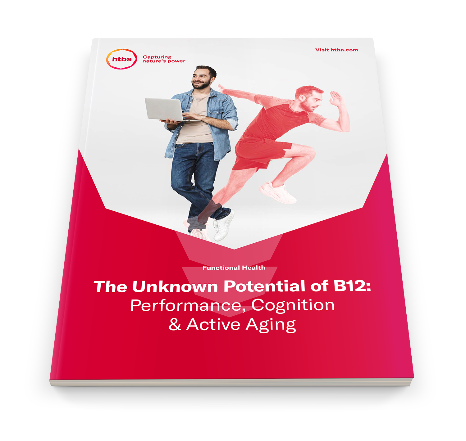 B12 whitepaper